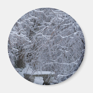 Íman Bench na neve