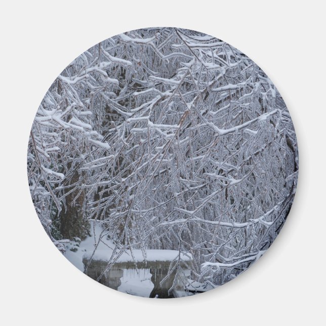 Íman Bench na neve (Frente)