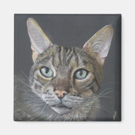 Íman Bengal Cat magnet