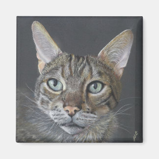 Íman Bengal Cat magnet