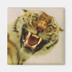 Íman Bengal Tiger Wildlife Big Cat Lover Foto