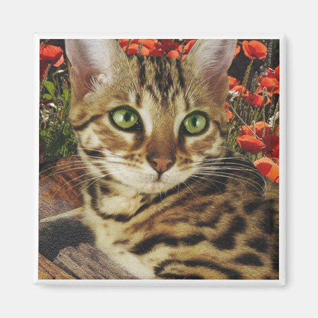 Íman Bengala Magnets (Frente)