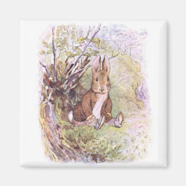 Íman Benjamin Bunny (por Beatrix Potter)