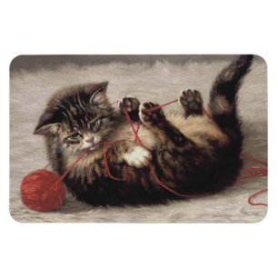 Íman Berço de Gato, Um Gato Brincando com Novelo de Lin