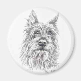 Íman Berger Picard Magnet