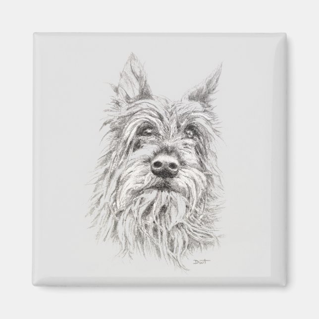 Íman Berger Picard Magnet (Frente)