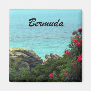 Íman Bermuda