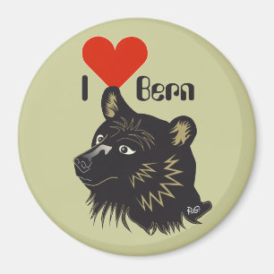 Íman Bern Berna Schweiz Suisse Svizzera Svizra