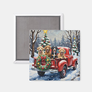 Íman Bernedoodle Natal Caminhão Vermelho Férias
