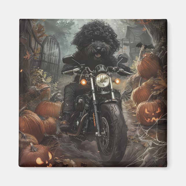 Íman Bernedoodle Pilotando Motocicleta Halloween Assust (Frente)