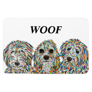 Íman Bernedoodle, Spaniel e Ouro Doodle Magnet