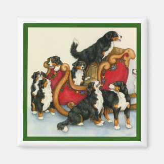 Íman Berners em Sleigh