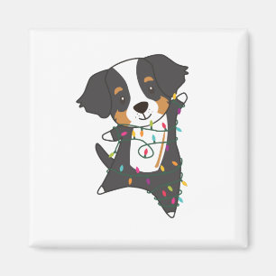 Íman Bernese Feliz Natal Cães Felizes