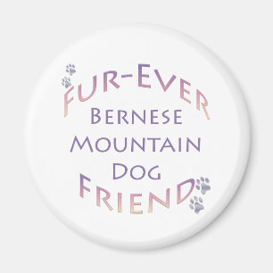 Íman Bernese Mountain Dog Fuere