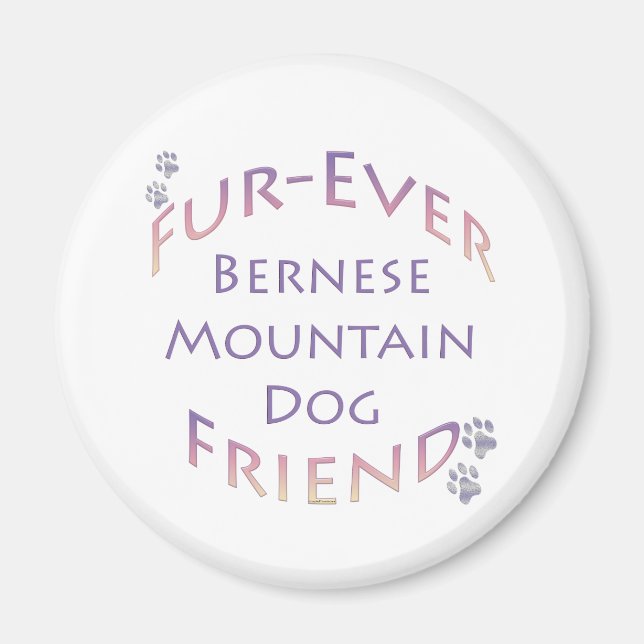 Íman Bernese Mountain Dog Fuere (Frente)