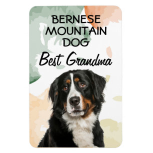 Íman Bernese Mountain Dog Melhor Magneta