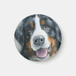 Íman Bernese Mountain dog watercolor portrait