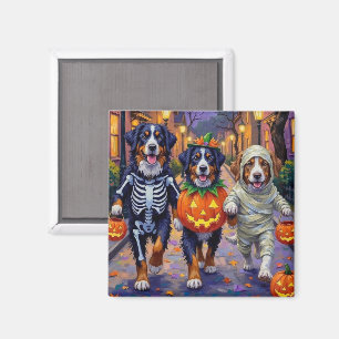Íman Bernese Mountain Pedindo Doces no Halloween