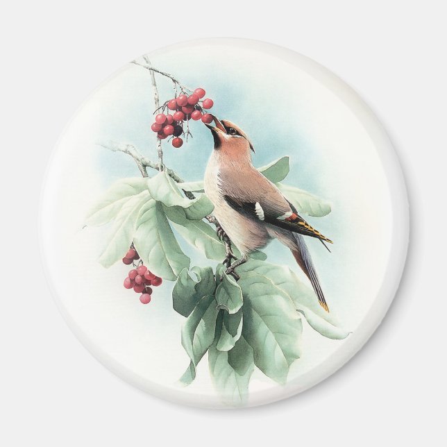 Íman Berries Para Comer (Frente)