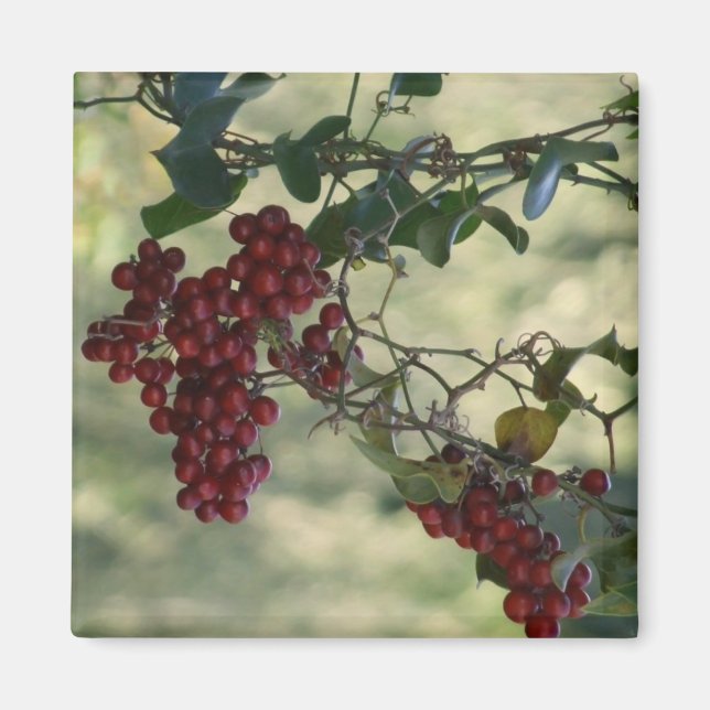 Íman Berry Magnet (Frente)