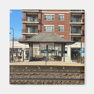 Íman Berwyn Illinois