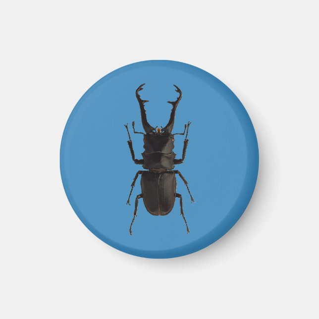 Íman Besouro de Stag (Frente)