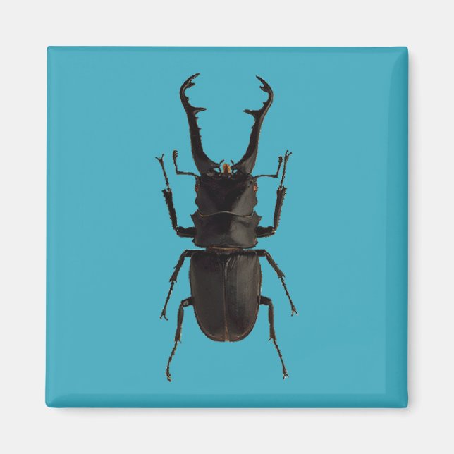 Íman Besouro de Stag (Frente)