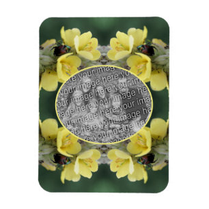 Íman Besouro Na Flor Mullein Selvagem Adicionar Sua Fot