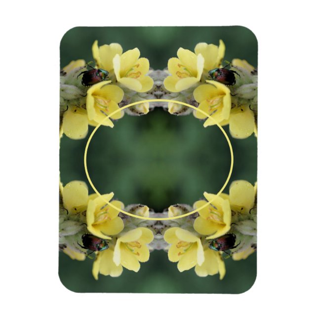 Íman Besouro Na Flor Mullein Selvagem Adicionar Sua Fot (Vertical)