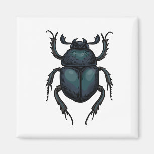 Íman besouro rola-bosta