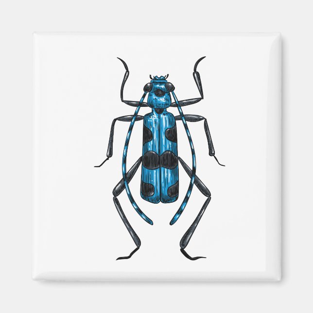 Íman besouro Rosalia Alpina (Frente)