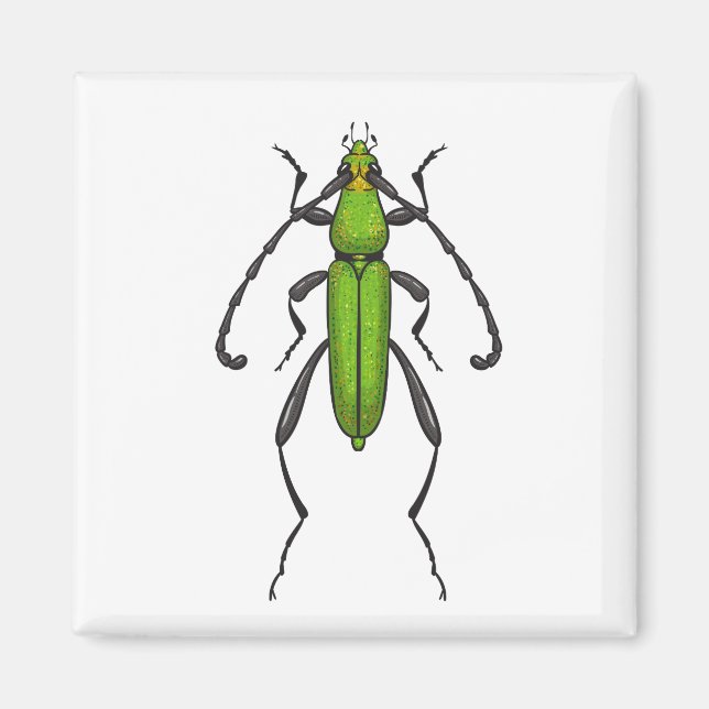Íman Besouro verde (Frente)