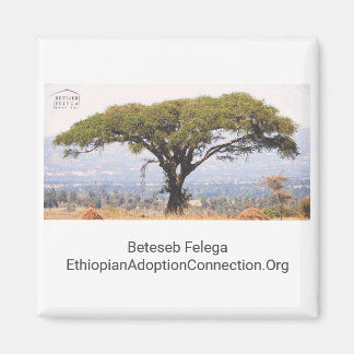 Íman Beteseb Felega Kitchen Magnet