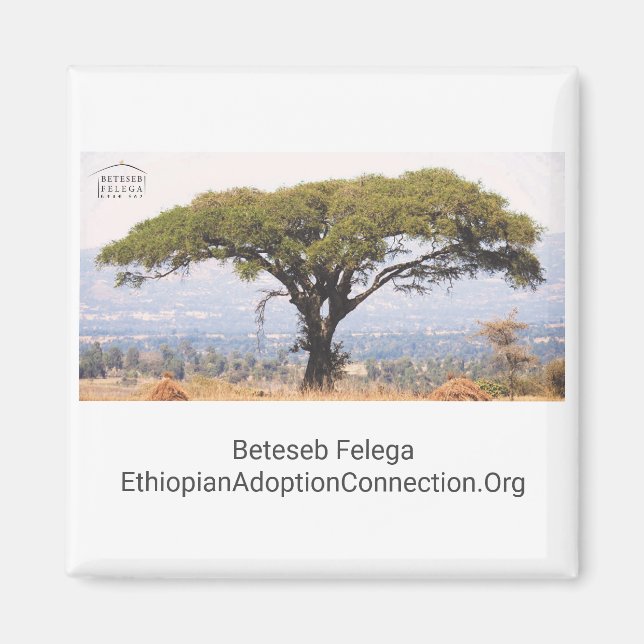 Íman Beteseb Felega Kitchen Magnet (Frente)