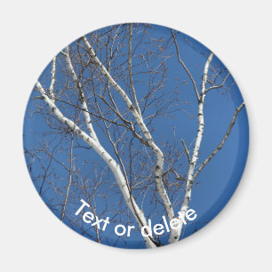 Íman Bétula de papel branco céu azul natureza personali
