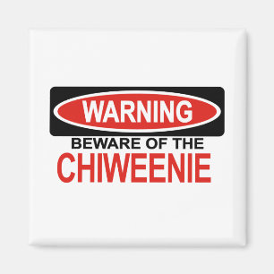 Íman Beware de Chiweenie