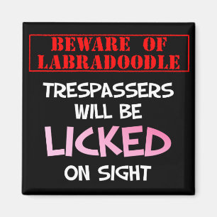 Íman Beware de lamber o ímã (preto) de Labradoodle