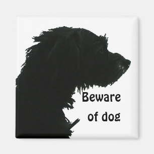 Íman Beware do cão