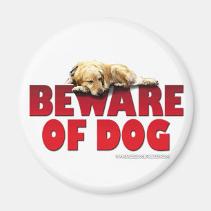 Íman Beware do cão…