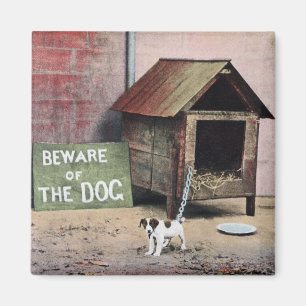 Íman Beware do sinal do cão com cão pequeno