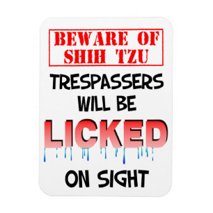 Íman "Beware o ímã de Shih de Tzu" (branco)