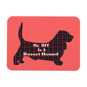 Íman BFF do Hound Basset