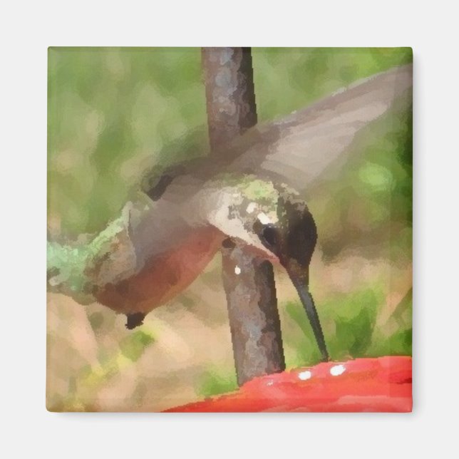 Íman BG- Hummingbird Magnet (Frente)