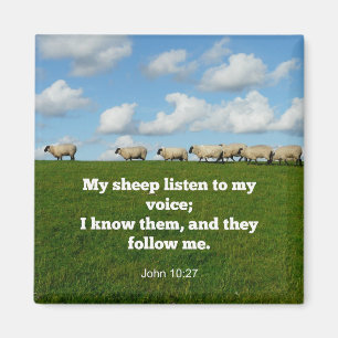 Íman Bíblia verso, John 10:27,