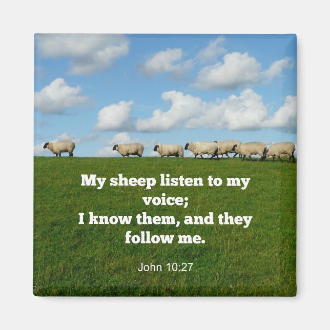 Íman Bíblia verso, John 10:27, (Frente)
