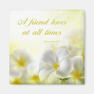 Íman Bíblia Verso | Provérbios 17:17 |