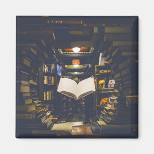 Íman Biblioteca Livros Prateleiras Abrir Livro Lido