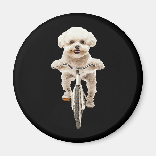 Íman Bichon Frise (Frente)