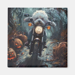 Íman Bichon Frise Andando Motocicleta Assusta