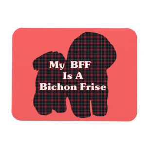 Íman Bichon Frise BFF